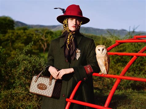 gucci campagna pubblicitarie dino